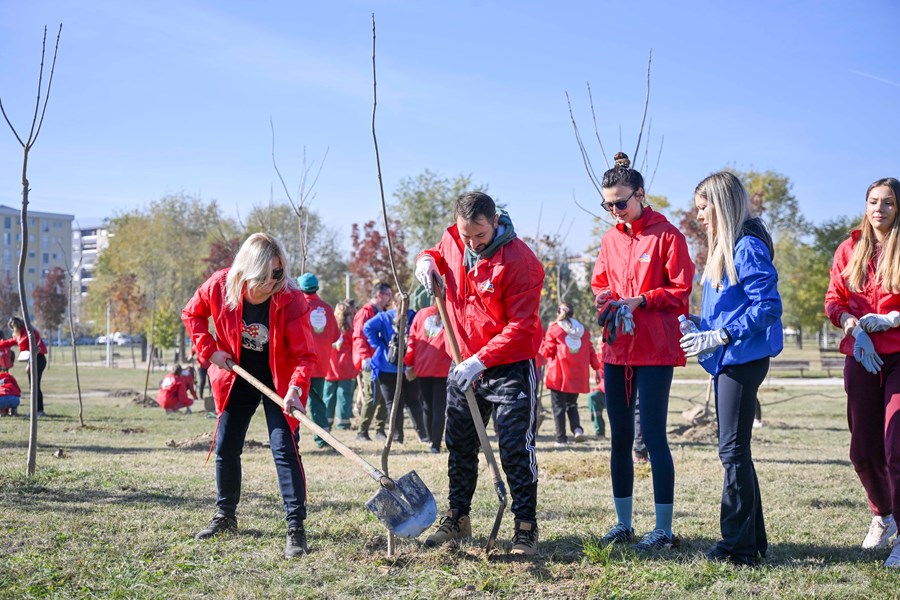 Извештај за одржливост